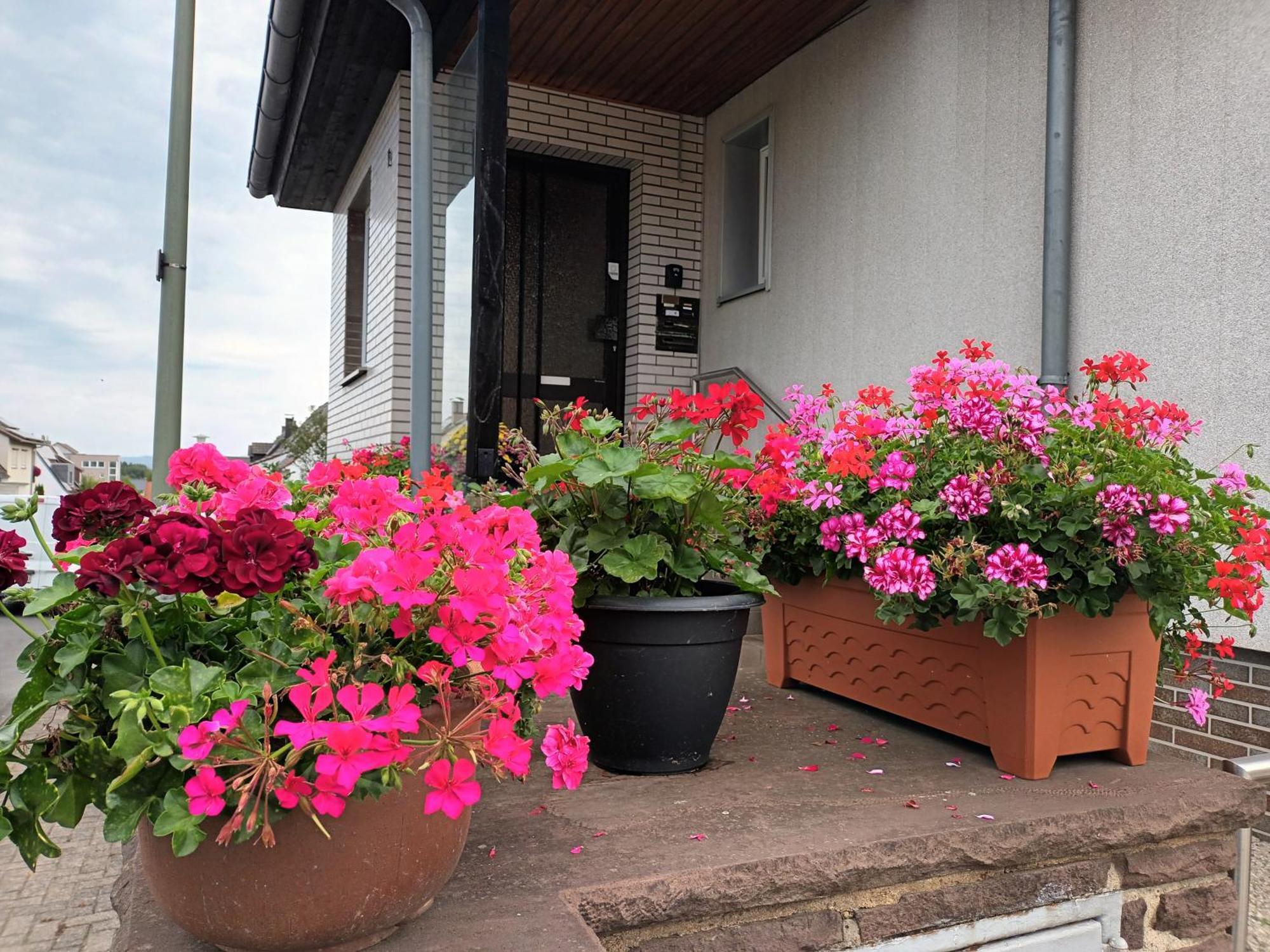 Ferienwohnung Kassel - 2 Zewnętrze zdjęcie